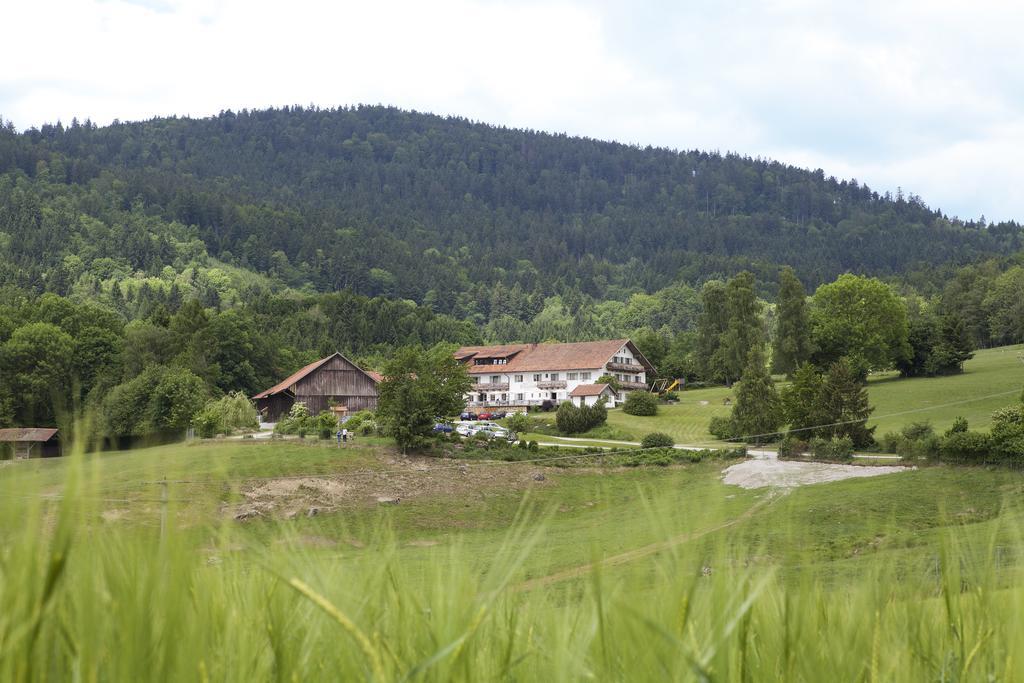 Wild-Berghof Buchet Hotel Bernried Room photo